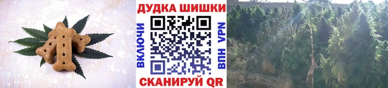где купить   Семёнов  Печенье с ТГК конопля 