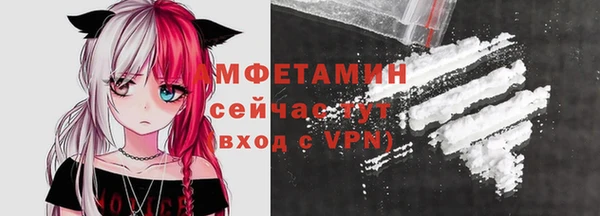 сатива Бородино