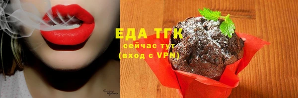 сатива Бородино