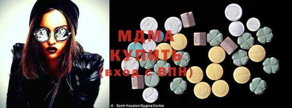 сатива Бородино