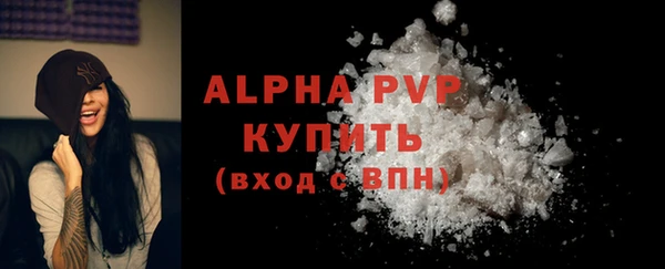 сатива Бородино