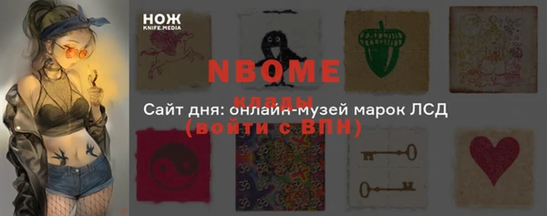 сатива Бородино