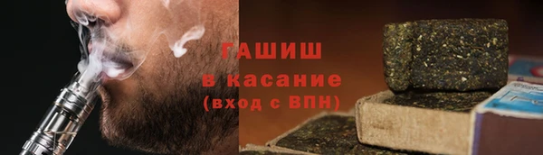 сатива Бородино