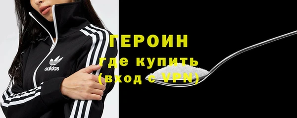 сатива Бородино