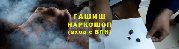 сатива Бородино