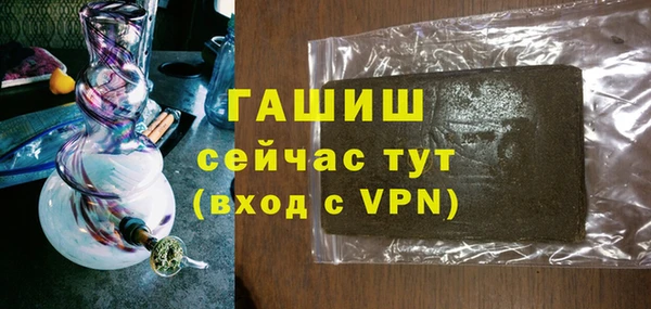 сатива Бородино