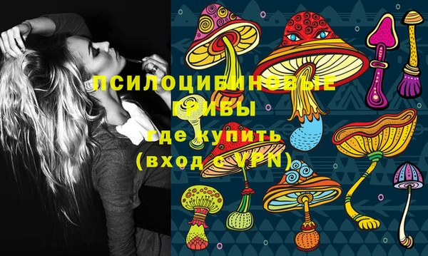 прущий лед Бронницы