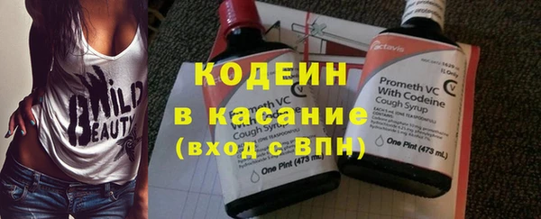сатива Бородино