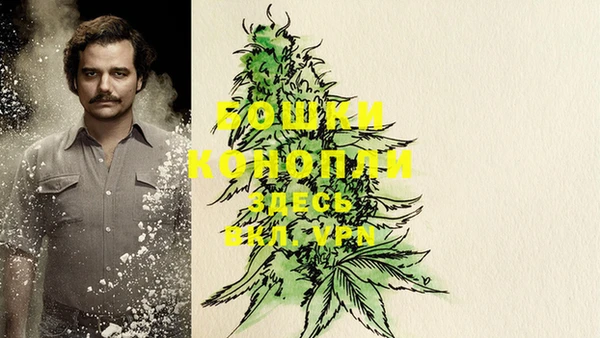 прущий лед Бронницы