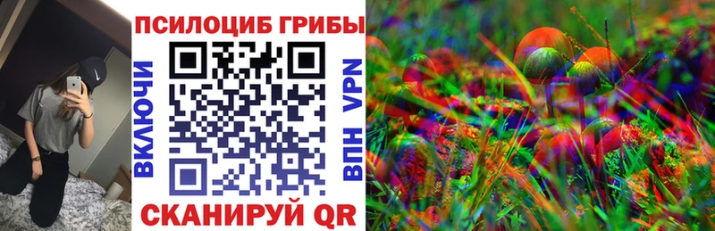 Галлюциногенные грибы Cubensis сколько стоит Семёнов